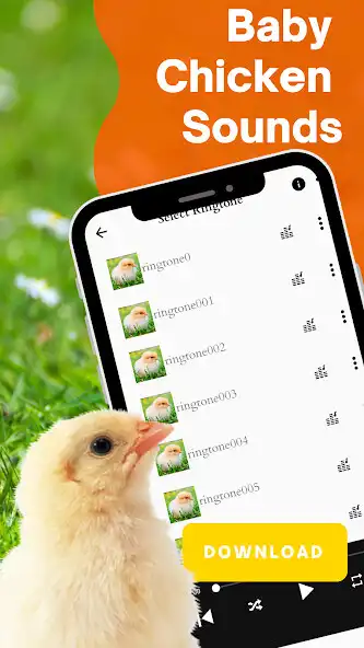 Play Baby chicken sound  and enjoy Baby chicken sound with UptoPlay
