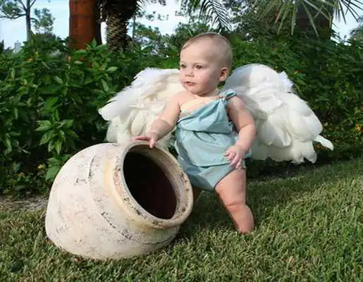 Play Baby Cupid Wallpapers Play Baby Cupid Wallpapers