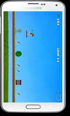 Play Baby Donkey On A Skateboard