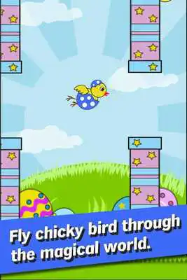 Play Baby Eggy Chicky Bird - Fun!