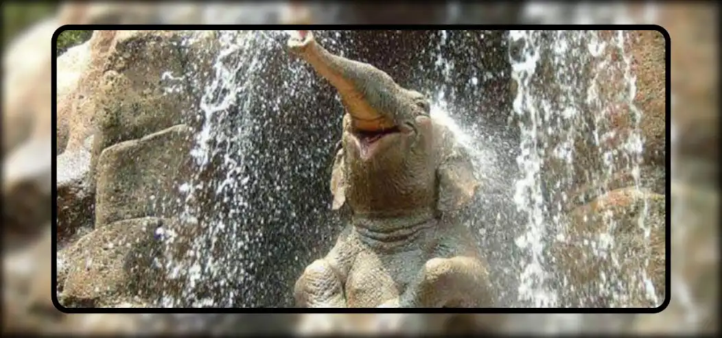 Play Baby Elephant Wallpaper  and enjoy Baby Elephant Wallpaper with UptoPlay