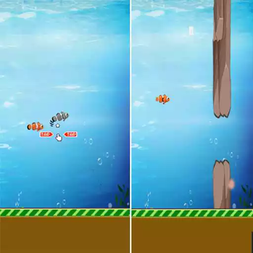 Play Baby Fish Family  and enjoy Baby Fish Family with UptoPlay