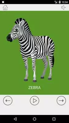 Play Baby Flashcards Learning Game