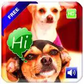 Free play online Baby Games Free All and New APK