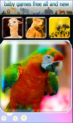 Play Baby Games Free All and New