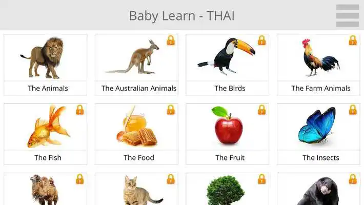 Play Baby Learn THAI