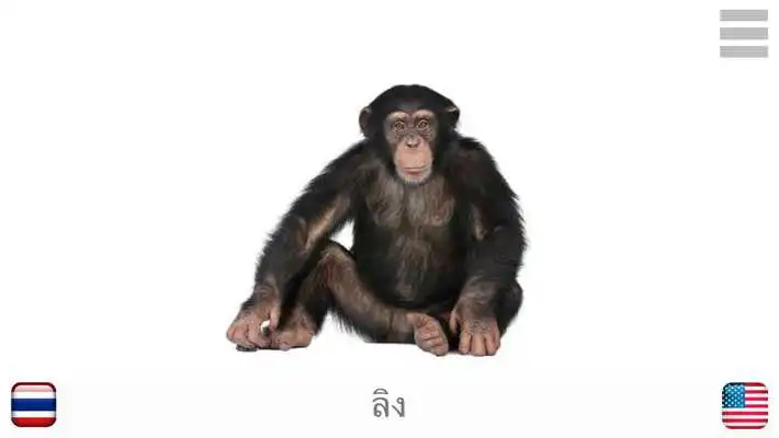 Play Baby Learn THAI