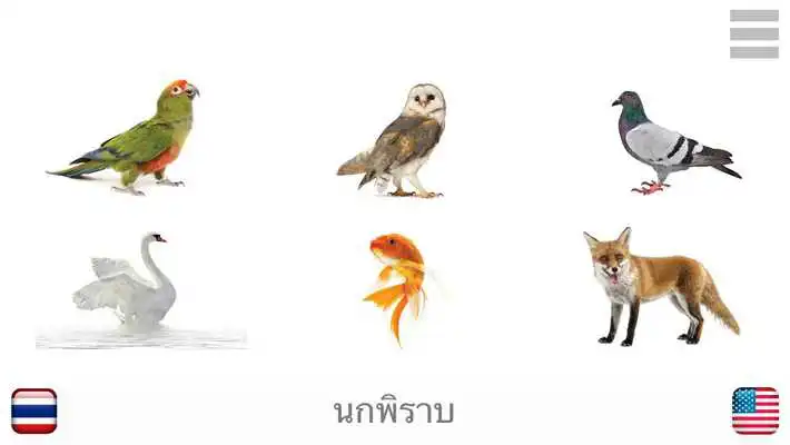 Play Baby Learn THAI