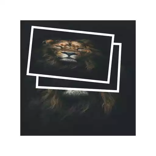 Play Baby Lion Wallpaper APK Play Baby Lion Wallpaper APK