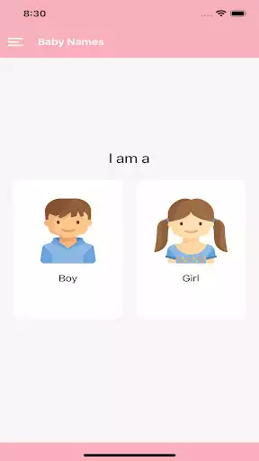 Play Baby Names and Meaning as an online game Baby Names and Meaning with UptoPlay