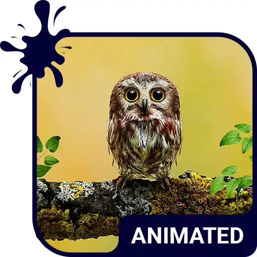 Free play online Baby Owl Animated Keyboard + Live Wallpaper APK Free play online Baby Owl Animated Keyboard + Live Wallpaper APK