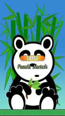 Play Baby Panda Bear Games Free