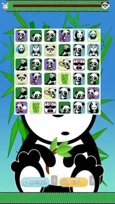Play Baby Panda Bear Games Free