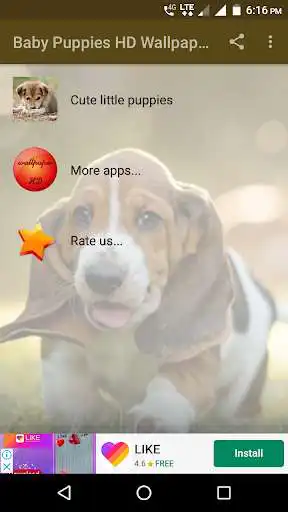Play APK Baby Puppies HD Wallpaper  and enjoy Baby Puppies HD Wallpaper with UptoPlay com.myapps.Baby.Puppies.HD.Wallpaper