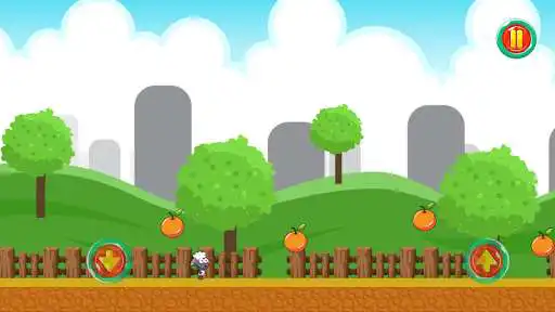 Play Baby Sheep Run