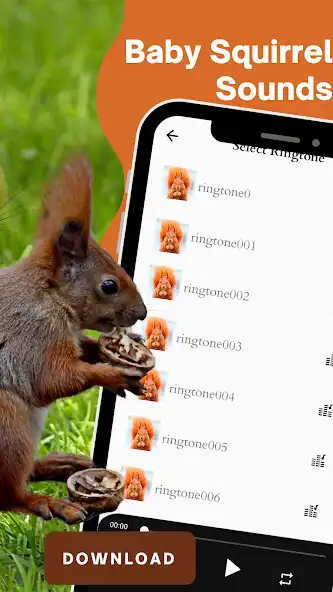 Play Baby squirrel sounds and enjoy Baby squirrel sounds with UptoPlay Play Baby squirrel sounds and enjoy Baby squirrel sounds with UptoPlay