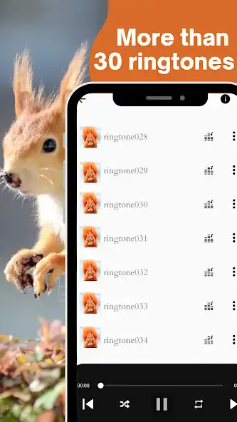 Play Baby squirrel sounds as an online game online Baby squirrel sounds with UptoPlay Play Baby squirrel sounds as an online game Baby squirrel sounds with UptoPlay