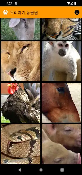 Play Baby Zoo as an online game Baby Zoo with UptoPlay