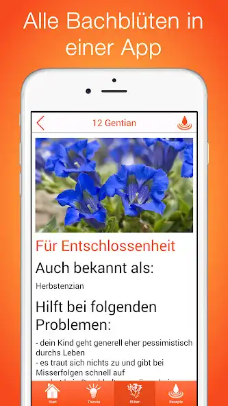 Play Bachblüten für Kinder  and enjoy Bachblüten für Kinder with UptoPlay