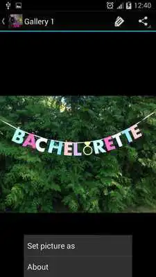 Play Bachelorette Party Decorations