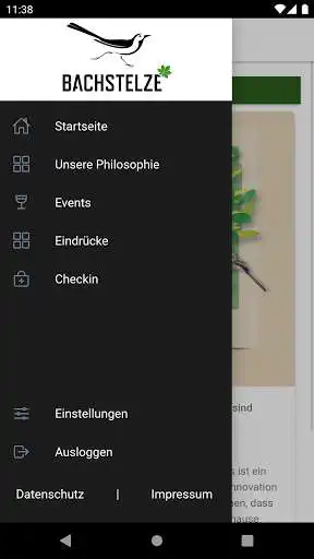 Play Bachstelze  and enjoy Bachstelze with UptoPlay