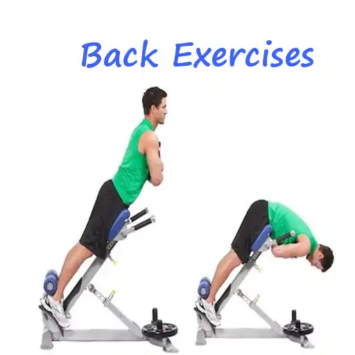 Play Back exercises APK Play Back exercises APK