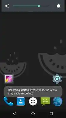 Play Background Audio Recorder