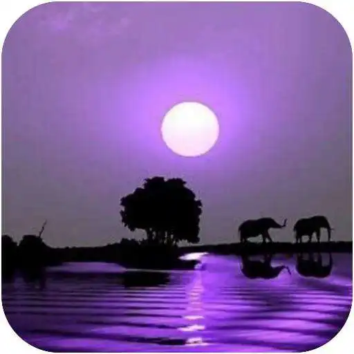 Play Background dusk wallpaper APK Play Background dusk wallpaper APK
