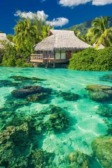 Play Background HD Wallpaper as an online game Background HD Wallpaper with UptoPlay