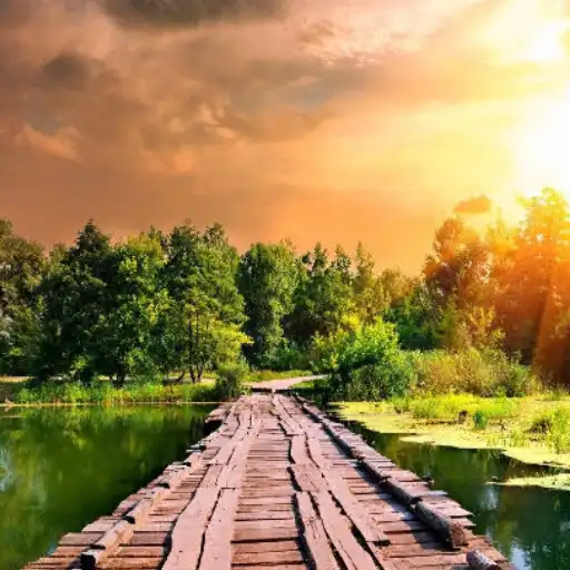 Play Background Photo Editor - Pro APK Play Background Photo Editor - Pro APK