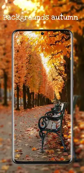 Play Backgrounds autumn  and enjoy Backgrounds autumn with UptoPlay