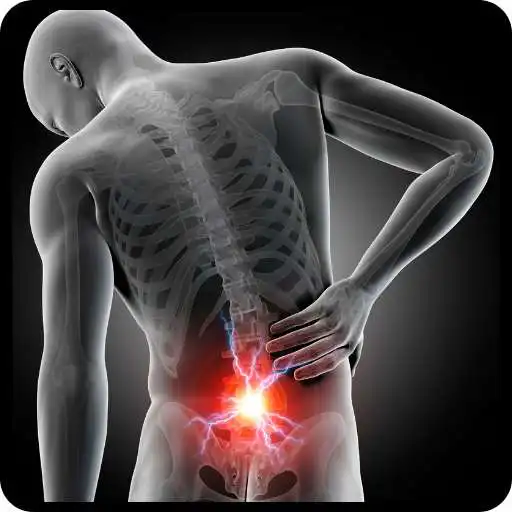 Play Back Pain Exercises  Relief APK