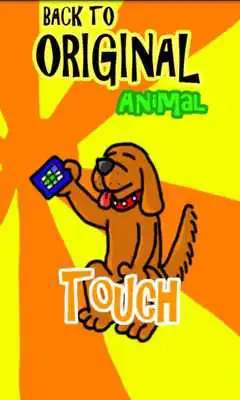 Play Back To Original (Animal)