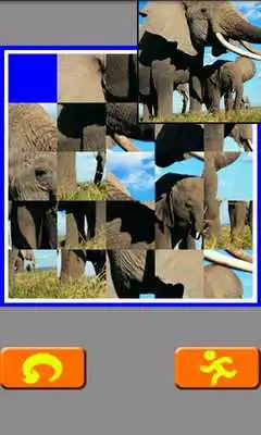 Play Back To Original (Animal)