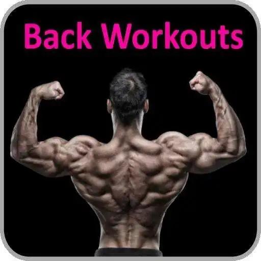 Free play online Back Workouts APK Free play online Back Workouts APK