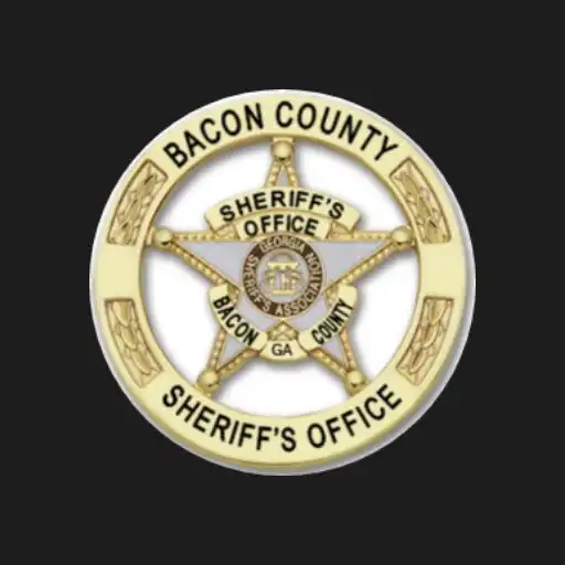 Play Bacon Co Sheriff, GA APK