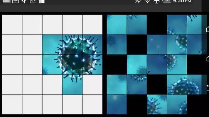 Play Bacteria Collection