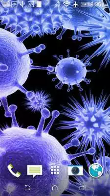 Play Bacteria Collection