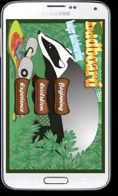 Play Badboard- Badger Skateboarding