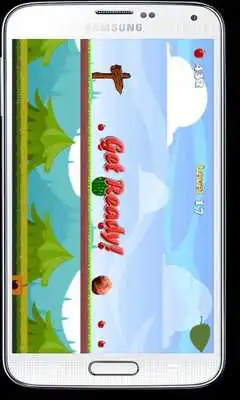 Play Badboard- Badger Skateboarding