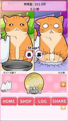 Play Bad Cat -The other side of cat