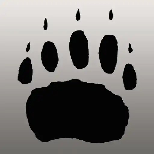 Play BadgerScan APK Play BadgerScan APK