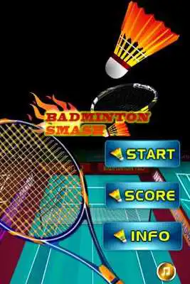 Play Badminton game
