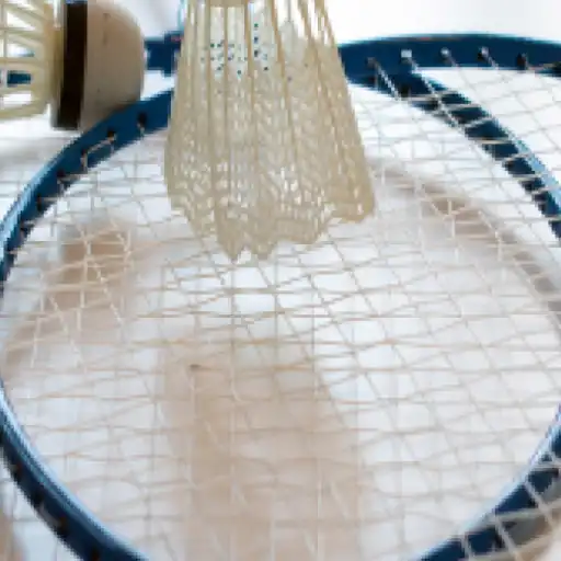 Play Badminton Match Scorer APK
