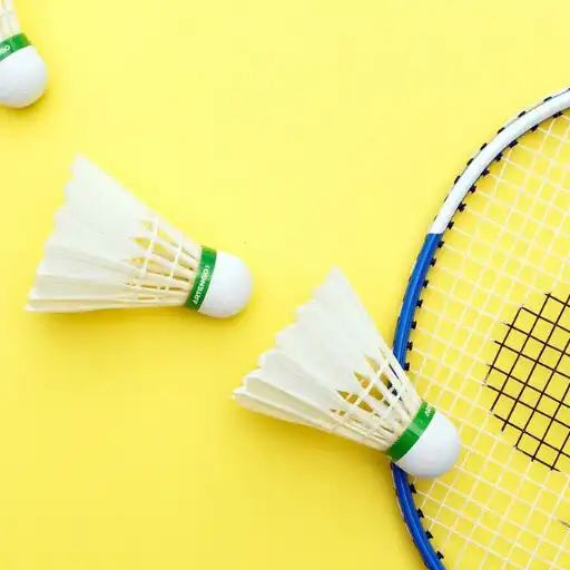 Play Badminton Wallpapers APK Play Badminton Wallpapers APK