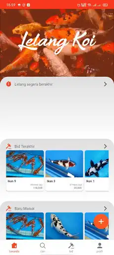Play Bagong Nishikigoi Auction as an online game online Bagong Nishikigoi Auction with UptoPlay Play Bagong Nishikigoi Auction as an online game Bagong Nishikigoi Auction with UptoPlay