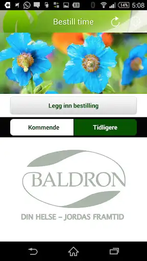 Play BALDRON as an online game BALDRON with UptoPlay