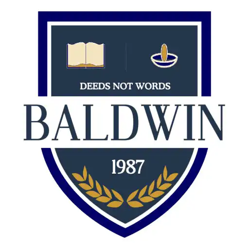 Play BALDWIN APK