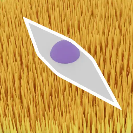 Play Bale Master APK