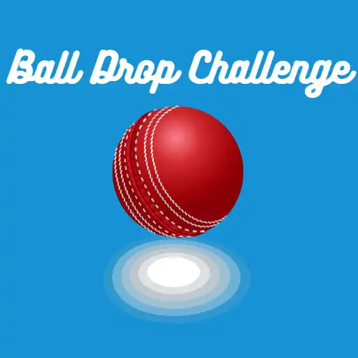 Play Ball Drop Challenge APK Play Ball Drop Challenge APK